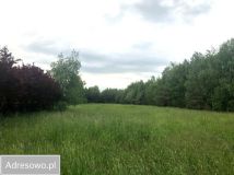 Działka rolno-budowlana Natolin. Zdjęcie 4