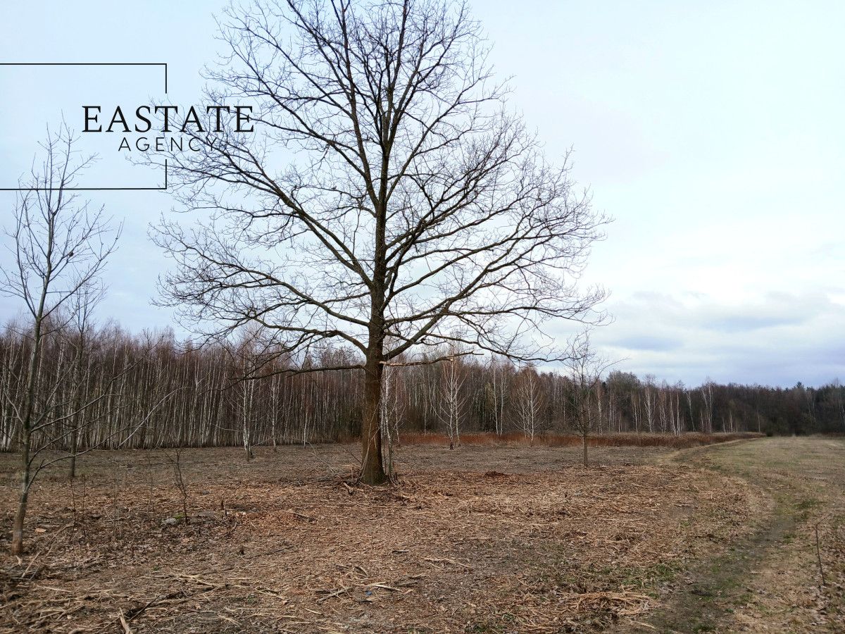 Działka budowlana Koryta. Zdjęcie 4