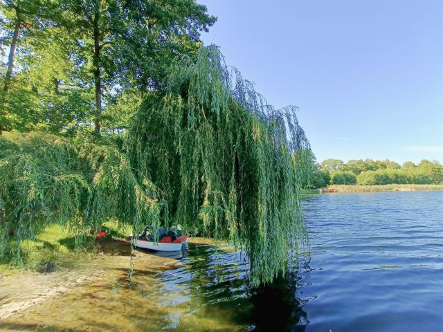 dom wolnostojący, 3 pokoje Brzezie. Zdjęcie 5