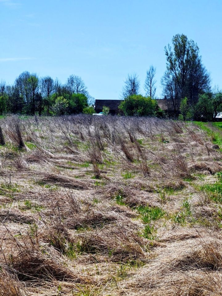 Działka rolno-budowlana Klimontów. Zdjęcie 3