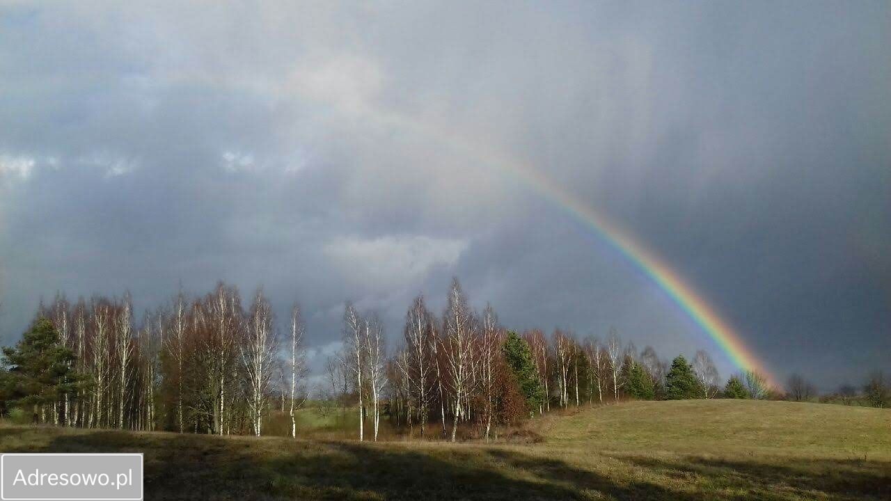 siedlisko, 5 pokoi Pajtuny. Zdjęcie 2