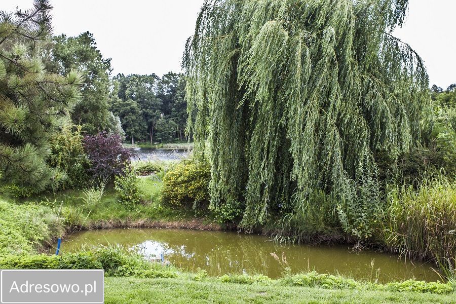 Lokal Kamionka osada. Zdjęcie 13