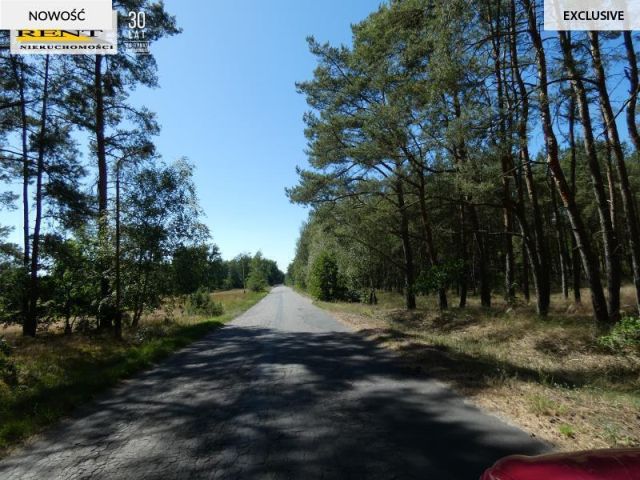 Działka budowlana Komarowo. Zdjęcie 10