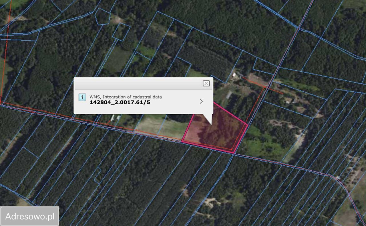 Działka rolno-budowlana Olszynki. Zdjęcie 4