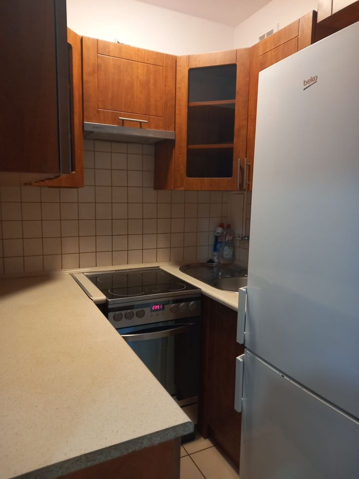 Mieszkanie 1-pokojowe Zabrze, ul. Wincentego Witosa. Zdjęcie 5