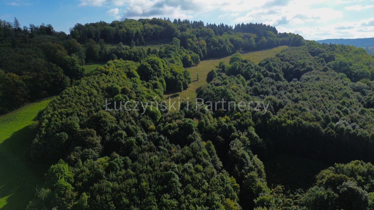 Działka rolna Wojcieszów. Zdjęcie 2