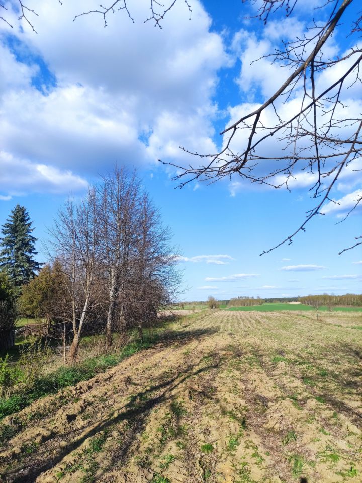 Działka rolno-budowlana Ostrów Północny. Zdjęcie 3