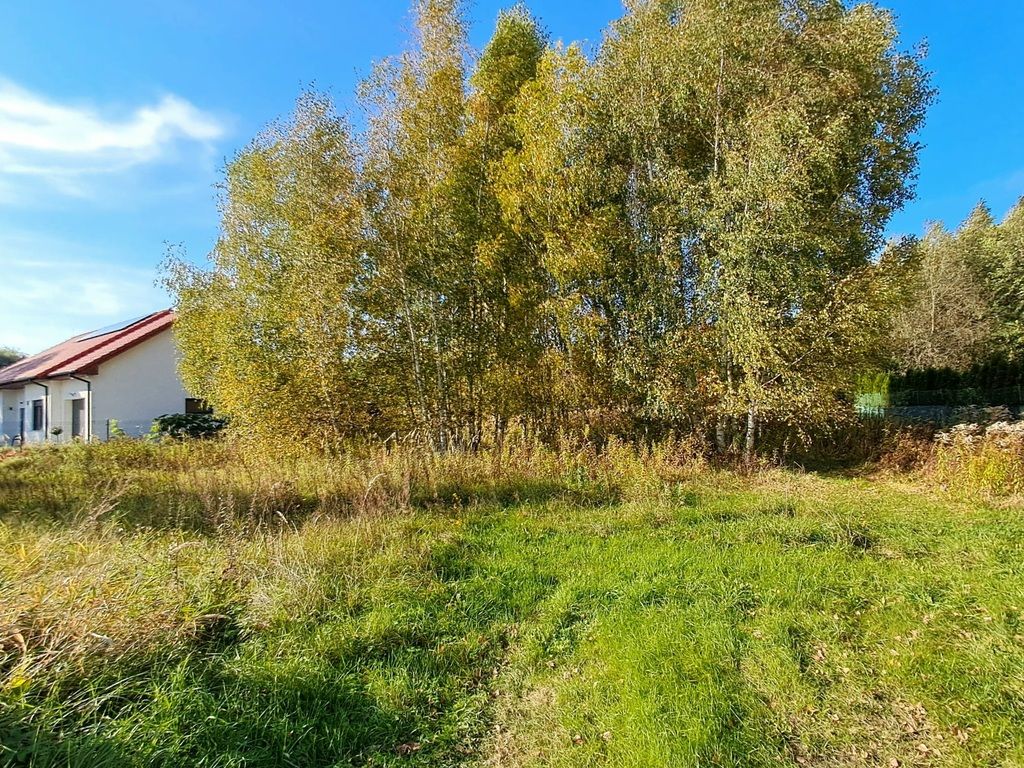 Działka budowlana Morzęcin Mały, ul. Brzezińska. Zdjęcie 8