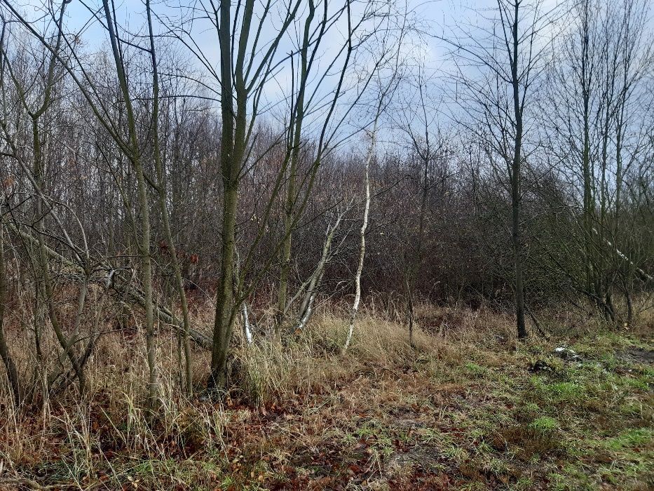 Działka budowlana Dobrzelów. Zdjęcie 4