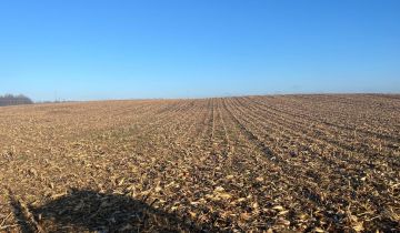 Działka rolna Słupia pod Bralinem