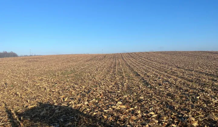 Działka rolna Słupia pod Bralinem