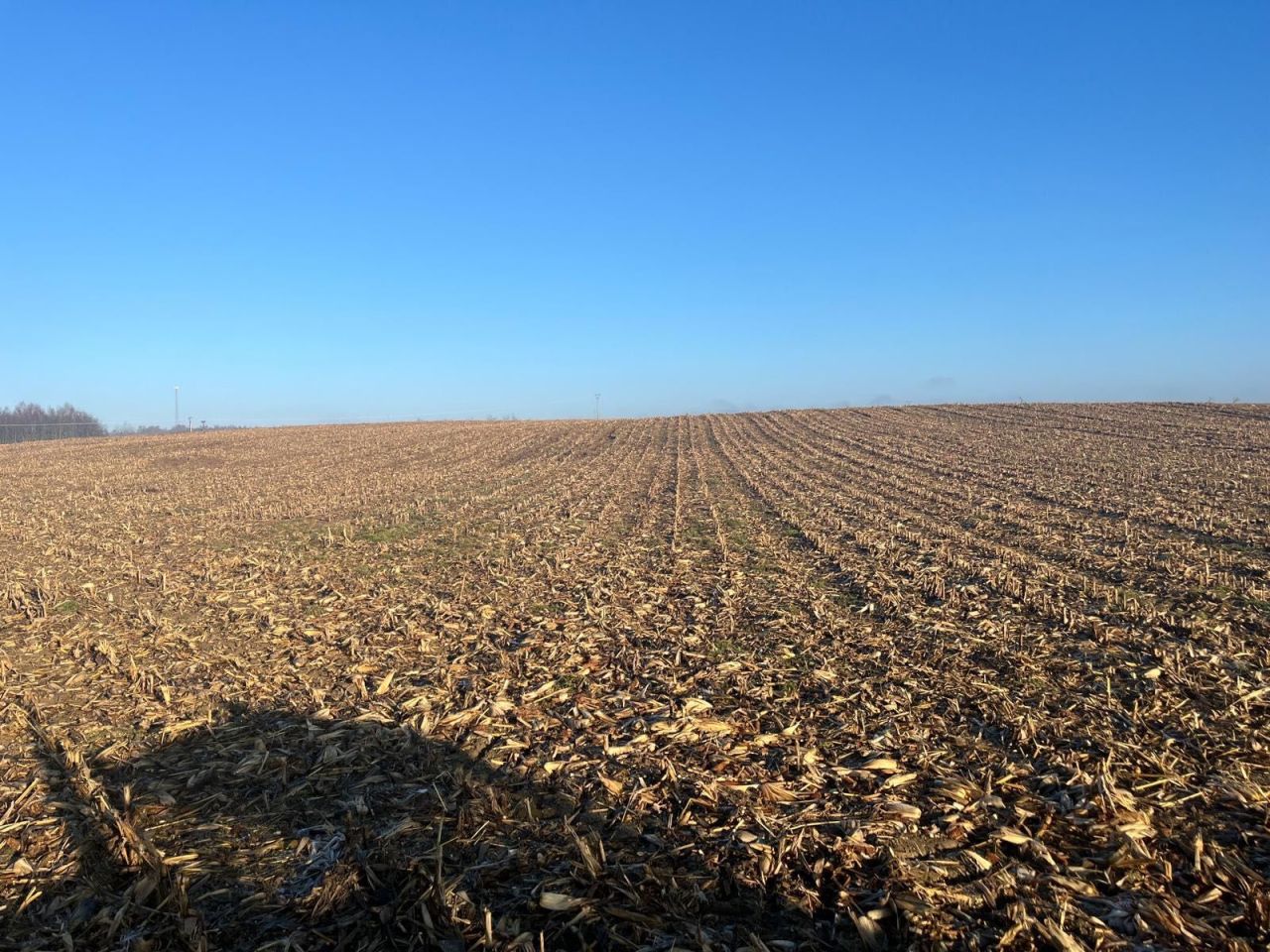 Działka rolna Słupia pod Bralinem
