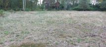 Działka rolno-budowlana Reptowo. Zdjęcie 3