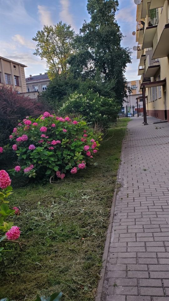 Mieszkanie 2-pokojowe Lublin Śródmieście. Zdjęcie 16