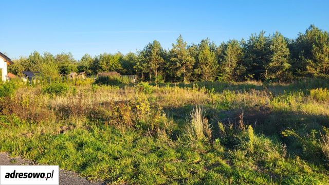 Działka budowlana Olszewnica Stara, ul. Zorzy. Zdjęcie 1