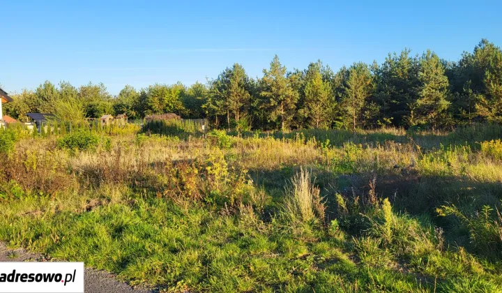 Działka budowlana Olszewnica Stara, ul. Zorzy