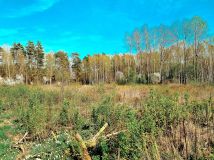 Działka rolno-budowlana Zabłudów, ul. Kolonia. Zdjęcie 4