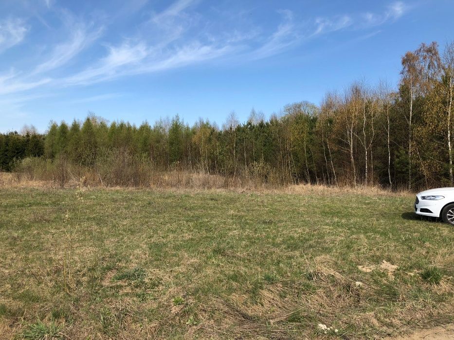 Działka budowlana Lauda. Zdjęcie 6