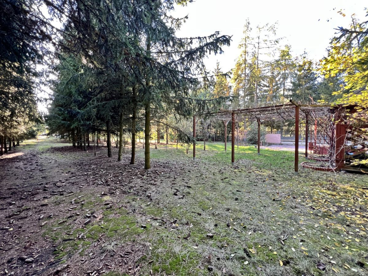 dom wolnostojący, 5 pokoi Lasocin. Zdjęcie 8