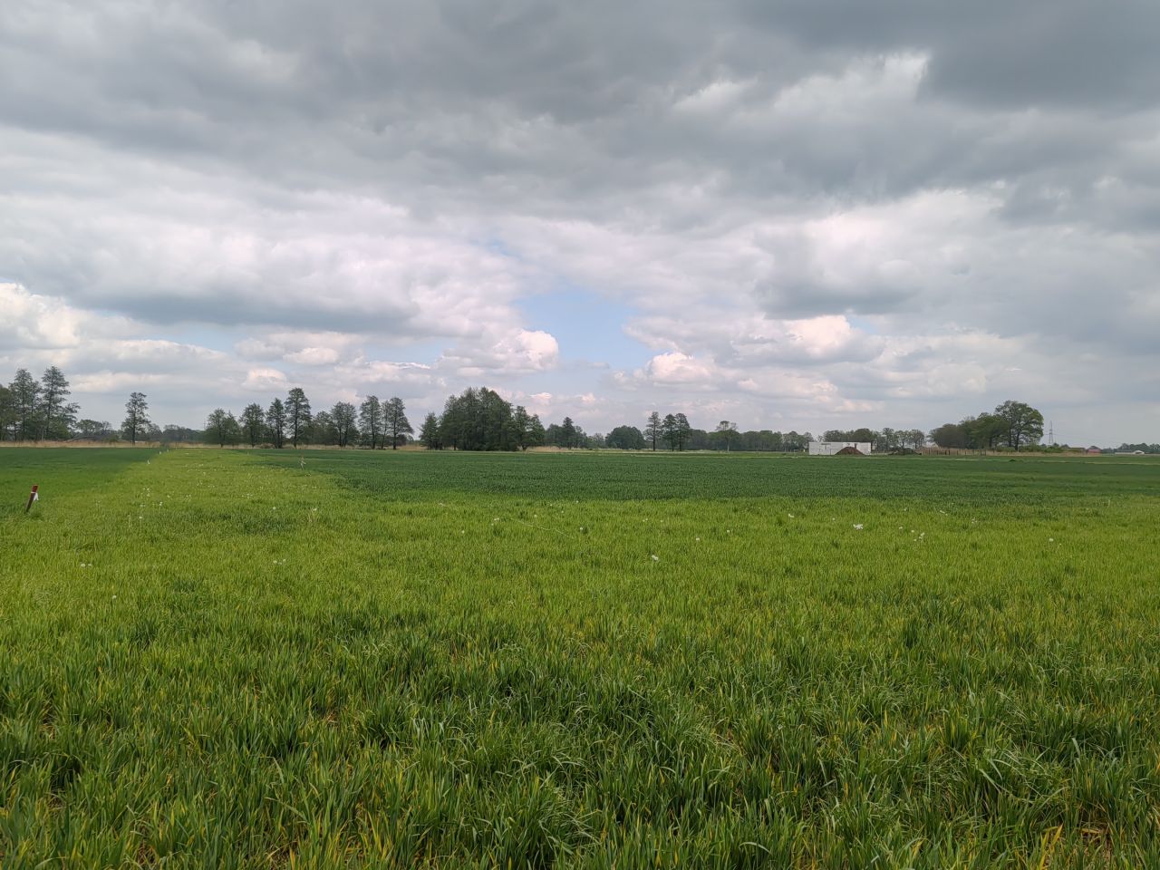 Działka budowlana Białołęka, -. Zdjęcie 3