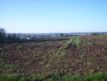 Działka rolno-budowlana Odonów Peperówka. Zdjęcie 2