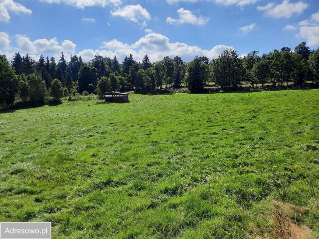 Działka inwestycyjna Szklarska Poręba Biała Dolina, ul. Stefana Żeromskiego. Zdjęcie 1