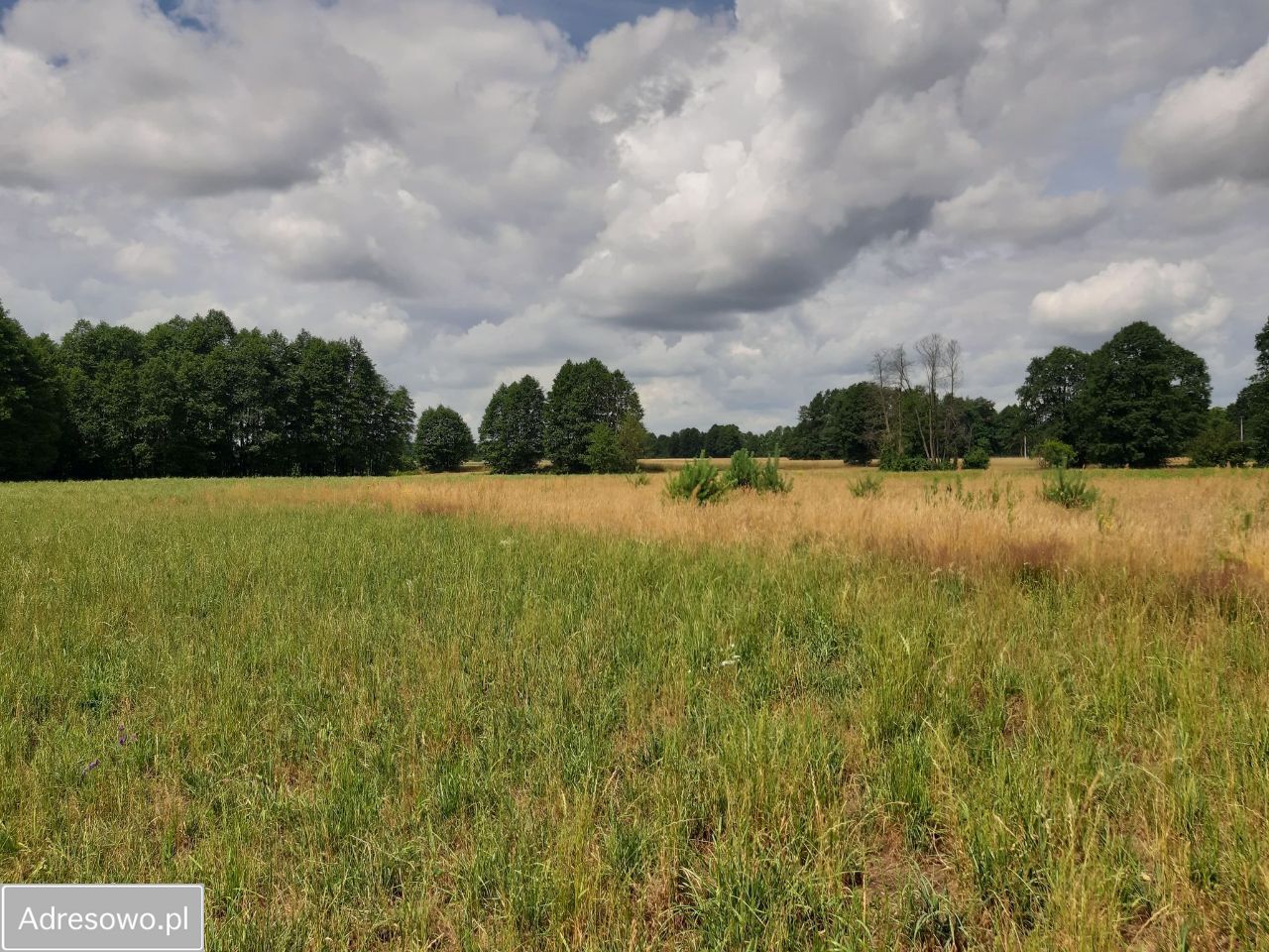 Działka rekreacyjna Rogóźno. Zdjęcie 7