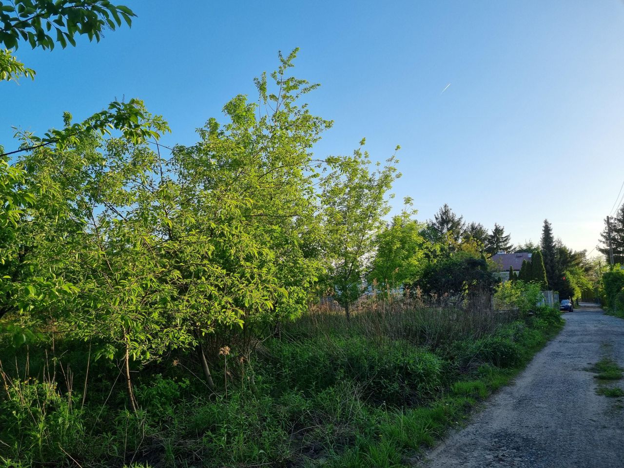 Działka budowlana Warszawa Wawer, ul. Trakt Lubelski. Zdjęcie 2