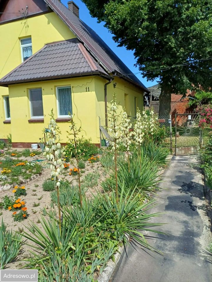 dom wolnostojący, 3 pokoje Wieńkowo, ul. Leśna. Zdjęcie 17