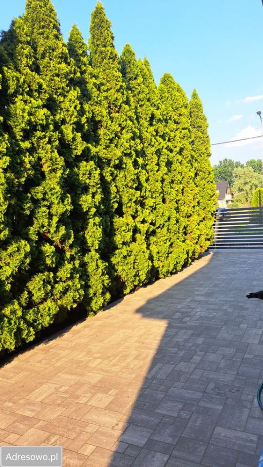 dom wolnostojący, 6 pokoi Marki, ul. Sadowa. Zdjęcie 6