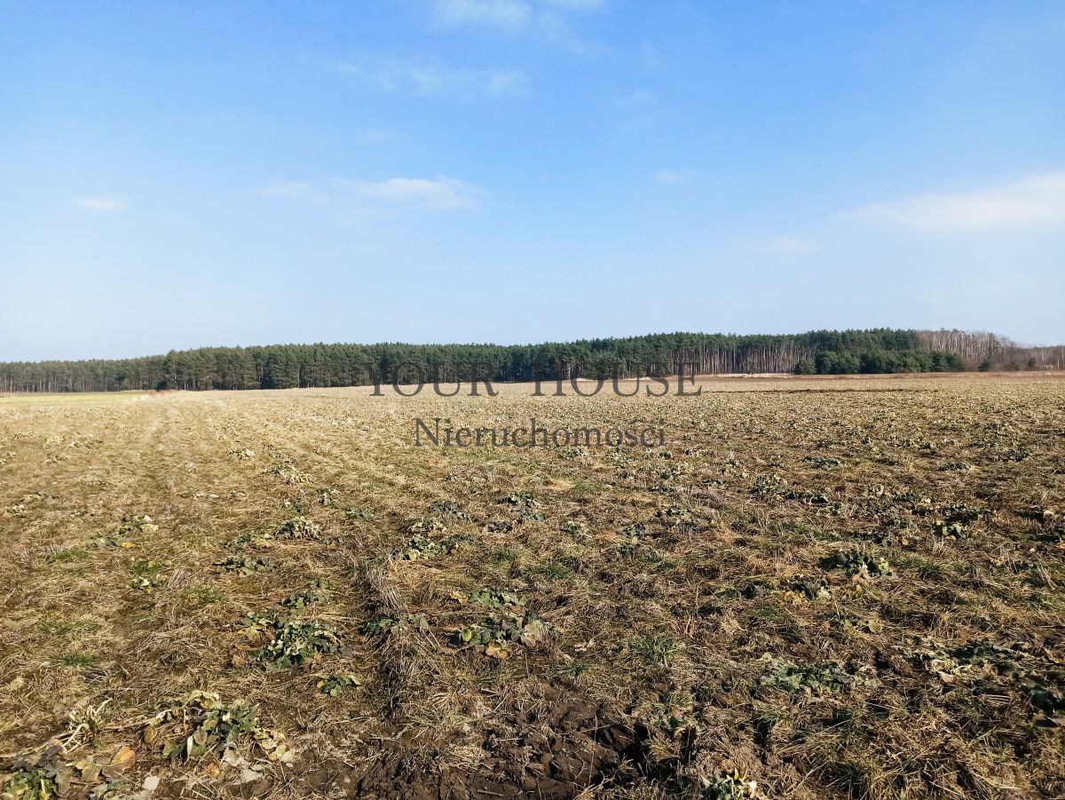 Działka budowlana Miłoszyce, ul. Przylesie. Zdjęcie 8