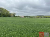 Działka budowlana Niemierze