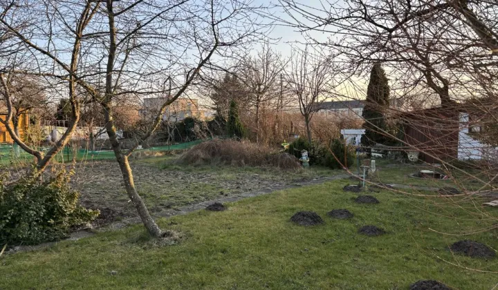 Działka rod Rumia, ul. Kosynierów