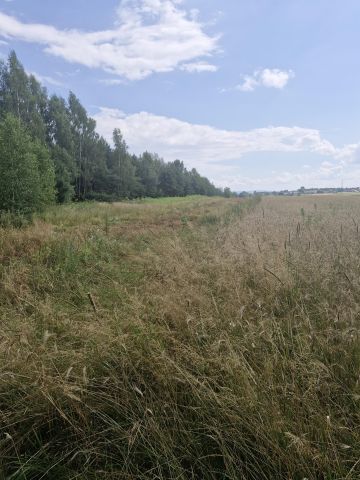 Działka rolna Godów. Zdjęcie 1