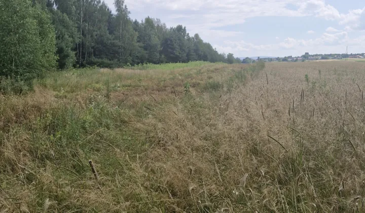 Działka rolna Godów