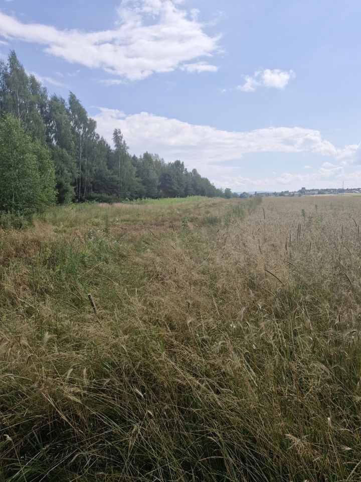 Działka rolna Godów