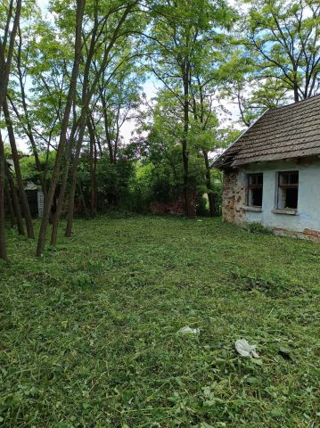 dom wolnostojący Wełnin. Zdjęcie 1