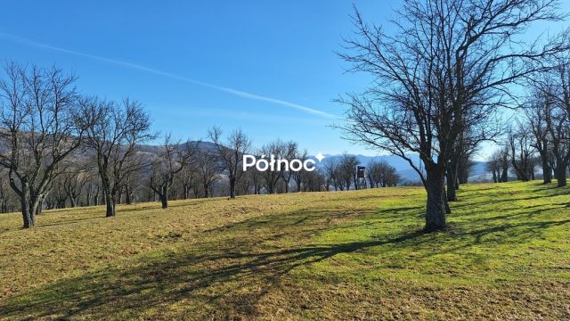 Działka rolna Kamienica. Zdjęcie 10