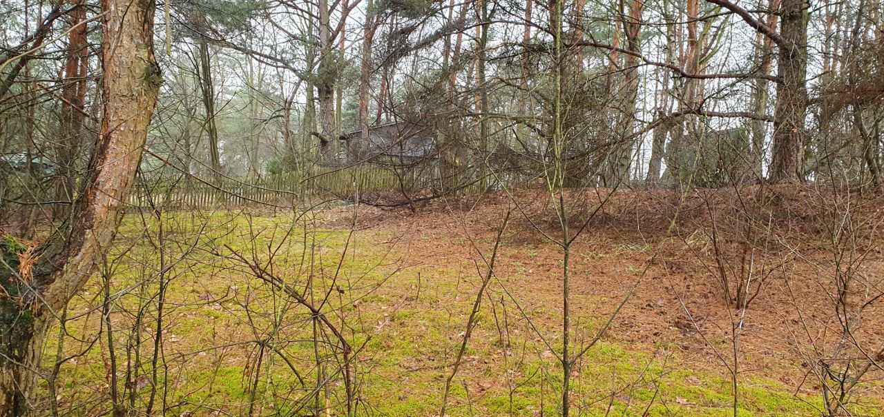 Działka rekreacyjna Nowe Łachy. Zdjęcie 15