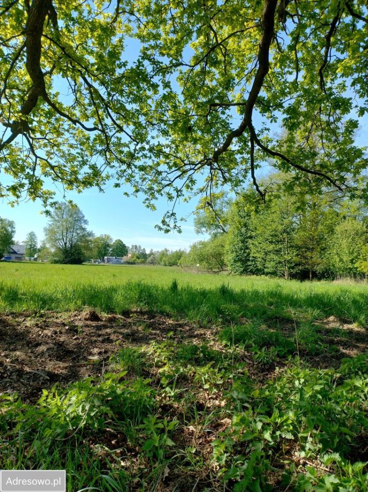 Działka budowlana Warszawa Szamocin, ul. Konturowa. Zdjęcie 5