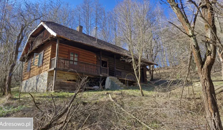 dom wolnostojący, 2 pokoje Lutcza