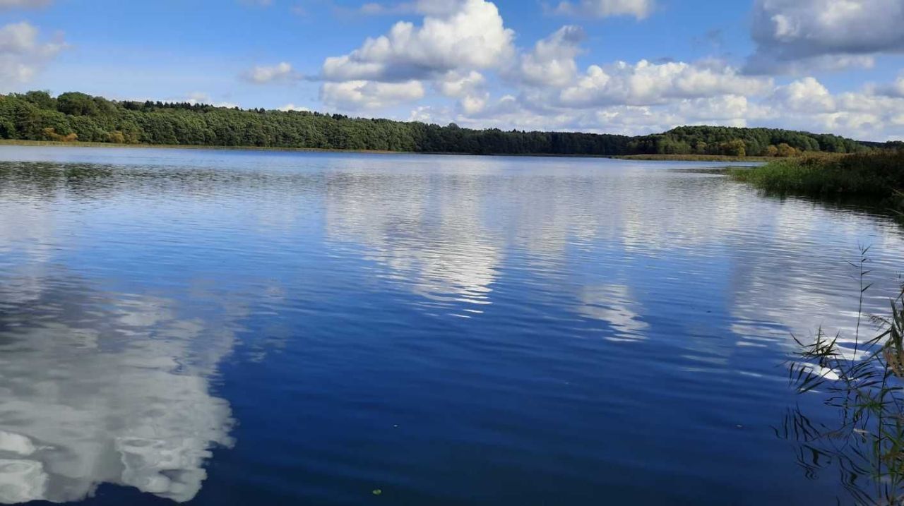 Działka rekreacyjna Wierzchowo. Zdjęcie 3