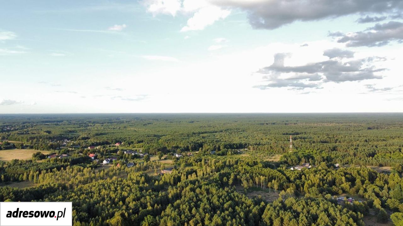gospodarstwo Piaseczna. Zdjęcie 20