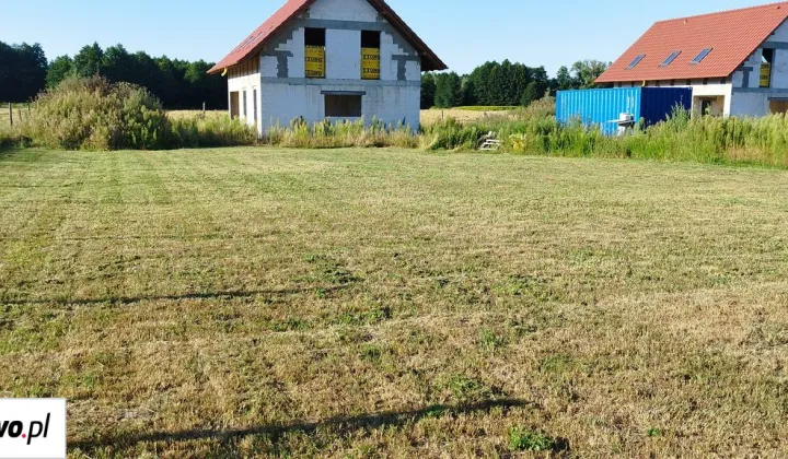 dom wolnostojący, 12 pokoi Ozorowice