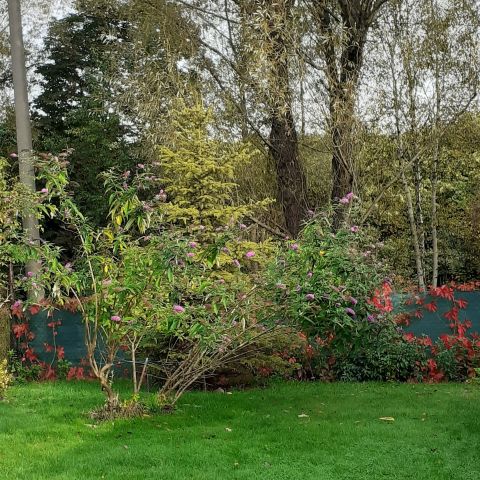 Działka rekreacyjna Katowice Załęska Hałda, ul. Szadoka. Zdjęcie 1