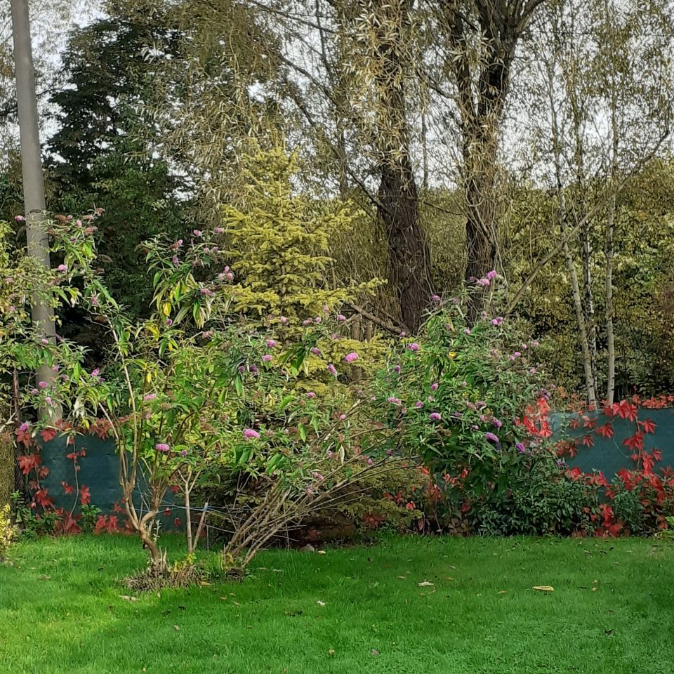 Działka rekreacyjna Katowice Załęska Hałda, ul. Szadoka