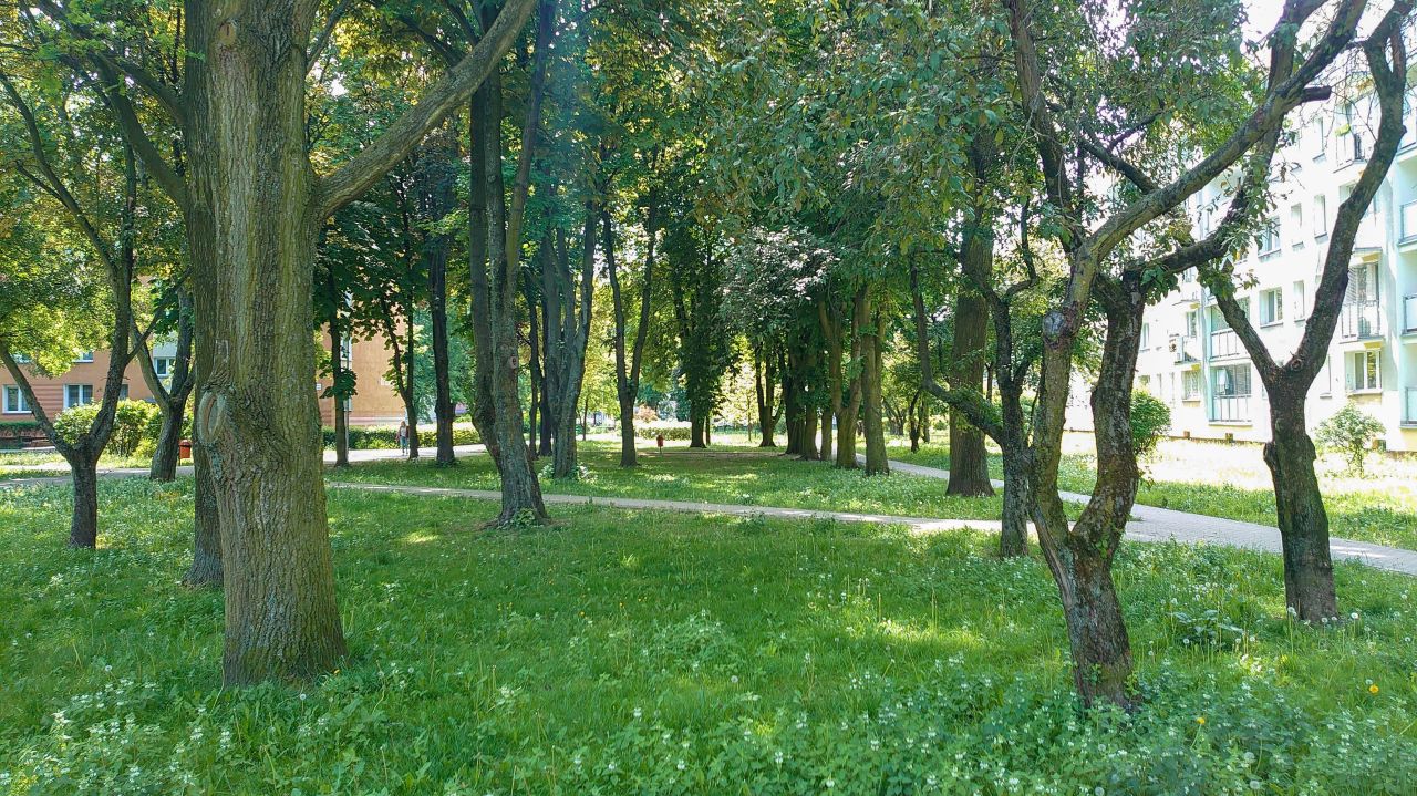 Mieszkanie 3-pokojowe Warszawa Targówek, ul. Krasiczyńska