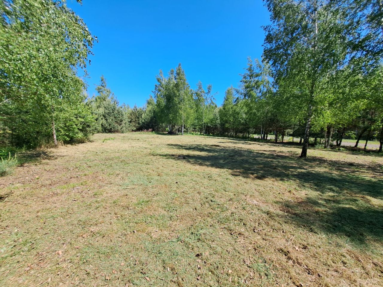 Działka budowlana Badulki Gęsia Niwa. Zdjęcie 6