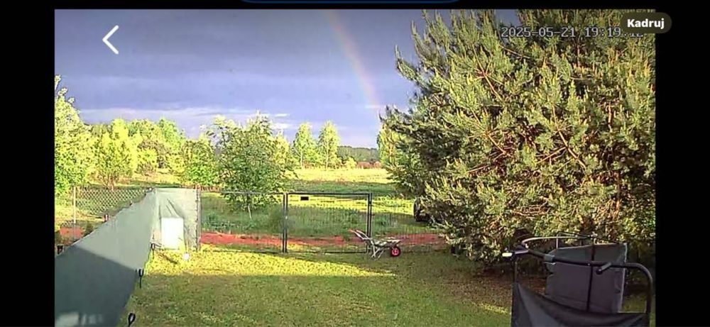 Działka rekreacyjna Zarzęcin. Zdjęcie 7