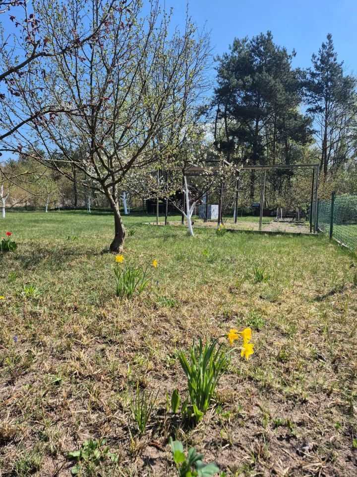 Działka rod Sulechów, ul. Gajowa. Zdjęcie 3